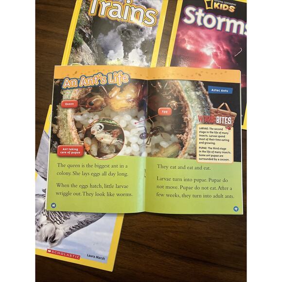 National Geographic Kids Level 1 Reader Assorted Books Science Dino Halloween - Picture 6 of 7